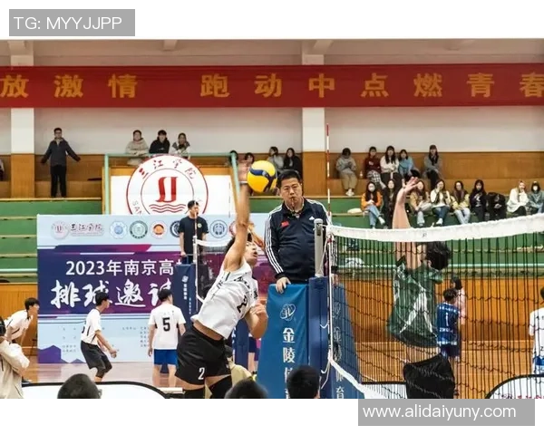 杭州排球队总决赛逆袭之路揭秘团队精神与奋斗历程 杭州排球队总决赛逆袭之路揭秘团队精神与奋斗历程