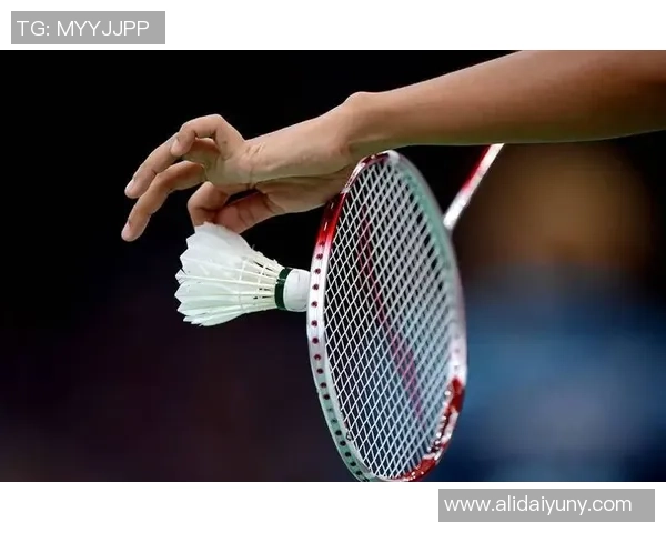 羽毛球专题：聚焦南京羽毛球队的战术