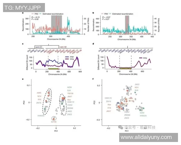 数据分析：广州飞盘队的配合表现